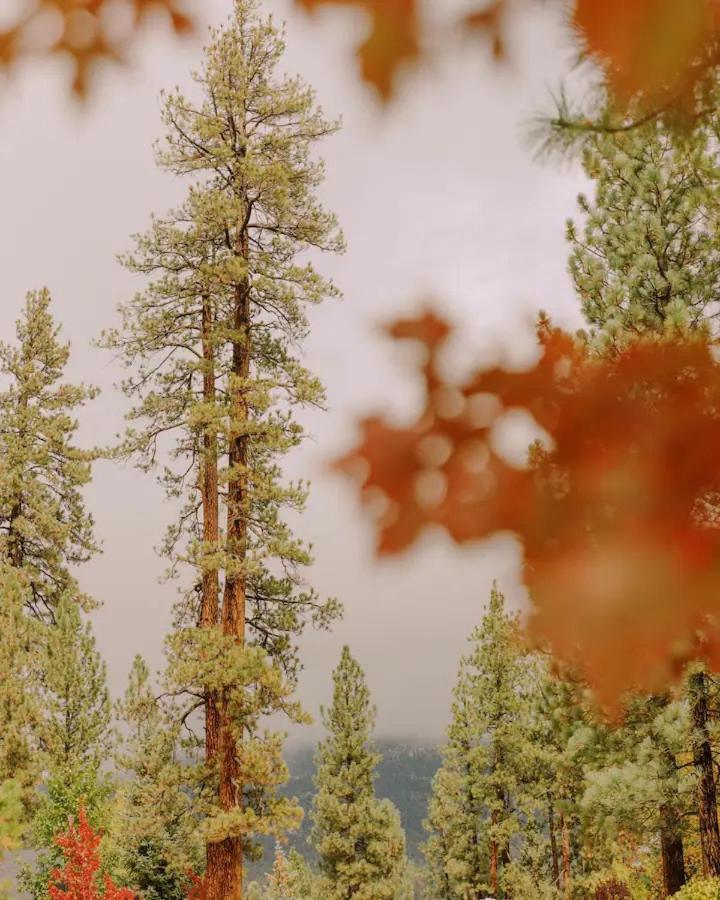 Colorado Lodge Big Bear Lake Buitenkant foto